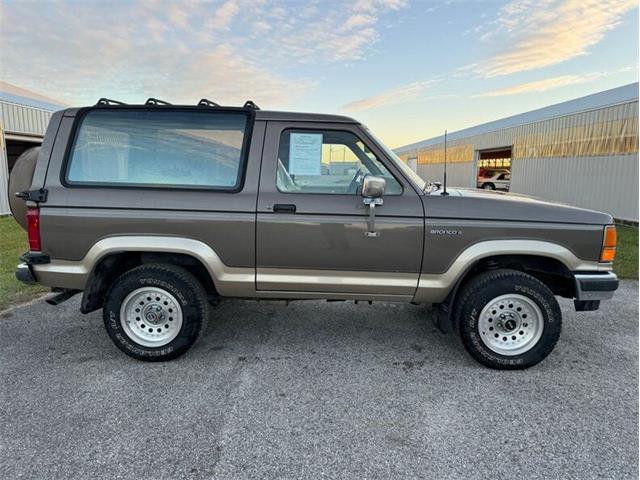 1990 Ford Bronco II (CC-1796978) for sale in Staunton, Illinois