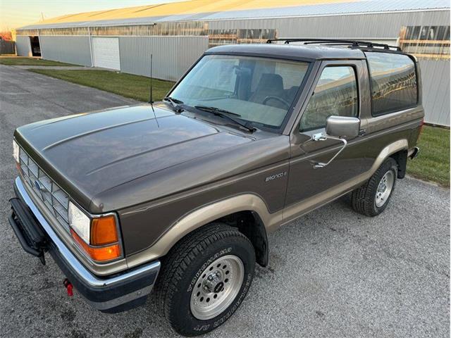 1990 Ford Bronco II (CC-1796978) for sale in Staunton, Illinois