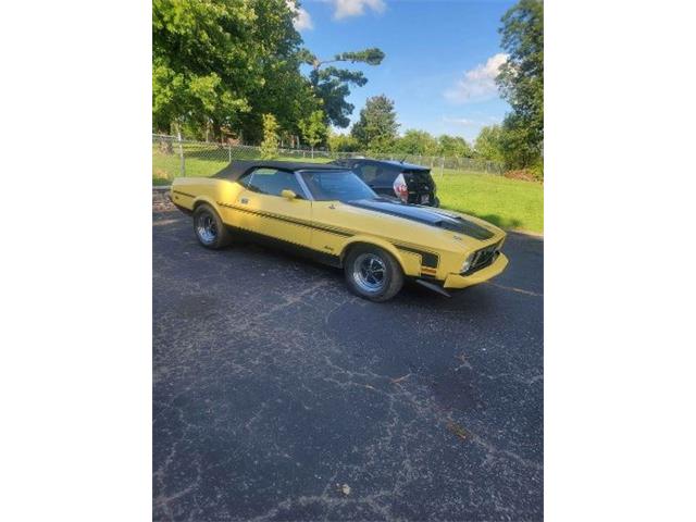 1973 Ford Mustang (CC-1797319) for sale in Cadillac, Michigan