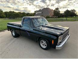 1979 Chevrolet C10 (CC-1797559) for sale in Cadillac, Michigan