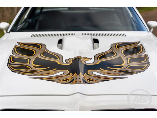 1976 Pontiac Firebird Trans Am (CC-1790766) for sale in Collierville, Tennessee