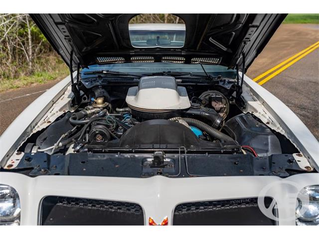 1976 Pontiac Firebird Trans Am (CC-1790766) for sale in Collierville, Tennessee