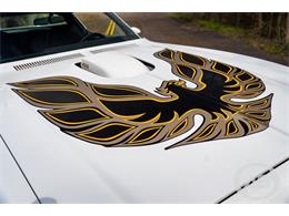 1976 Pontiac Firebird Trans Am (CC-1790766) for sale in Collierville, Tennessee