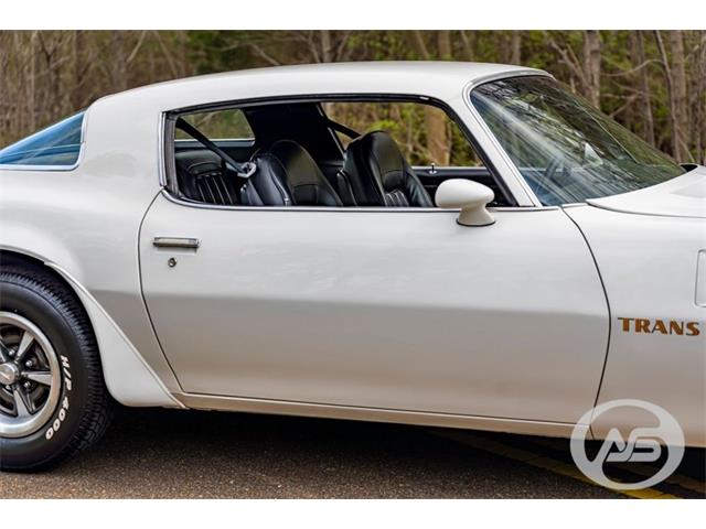1976 Pontiac Firebird Trans Am (CC-1790766) for sale in Collierville, Tennessee