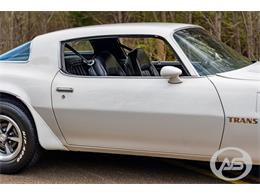 1976 Pontiac Firebird Trans Am (CC-1790766) for sale in Collierville, Tennessee