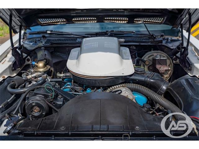 1976 Pontiac Firebird Trans Am (CC-1790766) for sale in Collierville, Tennessee