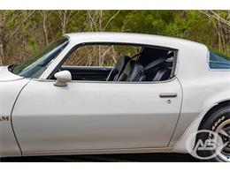 1976 Pontiac Firebird Trans Am (CC-1790766) for sale in Collierville, Tennessee