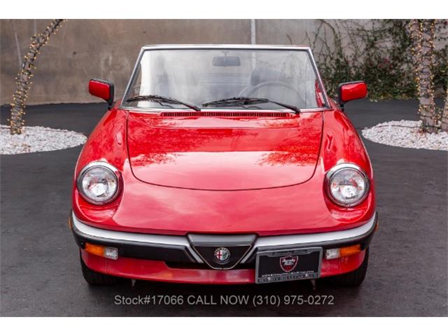 The Modern Classic Series 3 Alfa Romeo Spider Is on the Rise