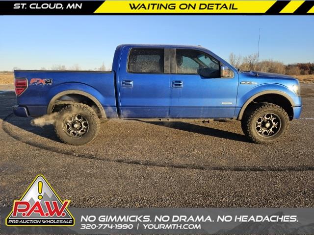 2013 Ford F150 (CC-1797792) for sale in Saint Cloud, Minnesota