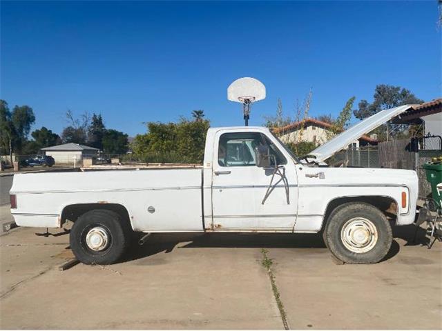 1973 Chevrolet C20 for Sale | ClassicCars.com | CC-1797972