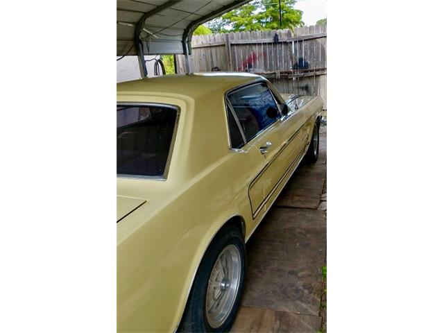 1966 Ford Mustang (CC-1798276) for sale in Dayton, Ohio