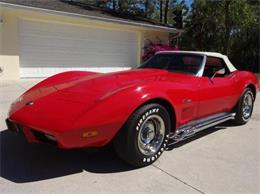 1975 Chevrolet Corvette Stingray (CC-1798343) for sale in Sarasota, Florida