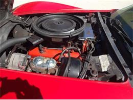 1975 Chevrolet Corvette Stingray (CC-1798343) for sale in Sarasota, Florida