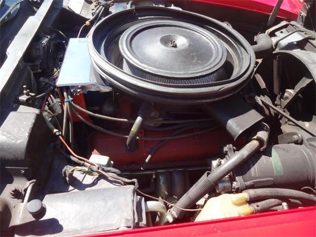 1975 Chevrolet Corvette Stingray (CC-1798343) for sale in Sarasota, Florida