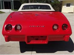 1975 Chevrolet Corvette Stingray (CC-1798343) for sale in Sarasota, Florida