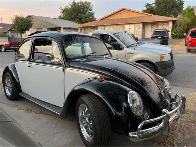 1967 Volkswagen Beetle (CC-1798459) for sale in Cadillac, Michigan