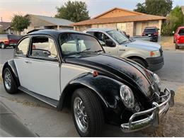 1967 Volkswagen Beetle (CC-1798459) for sale in Cadillac, Michigan