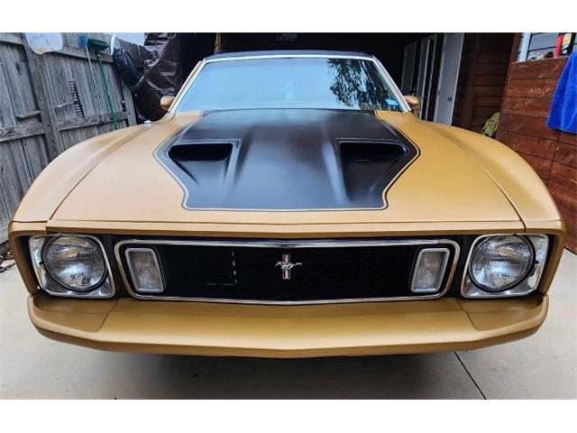 1973 Ford Mustang (CC-1798469) for sale in Cadillac, Michigan