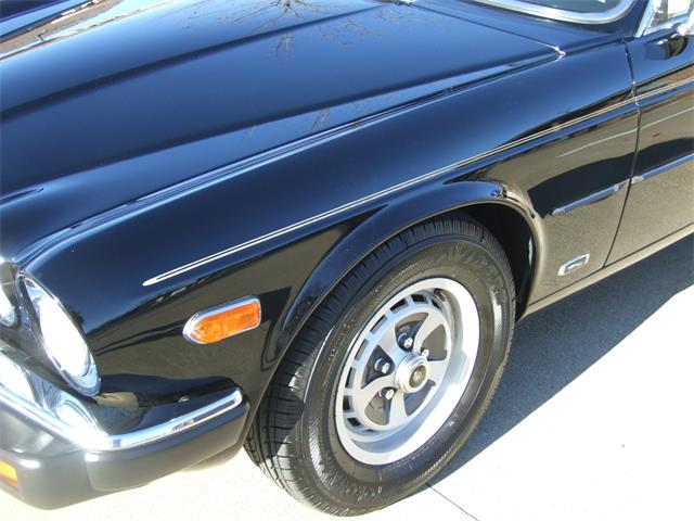 1986 Jaguar XJ6 (CC-1798728) for sale in North Canton, Ohio