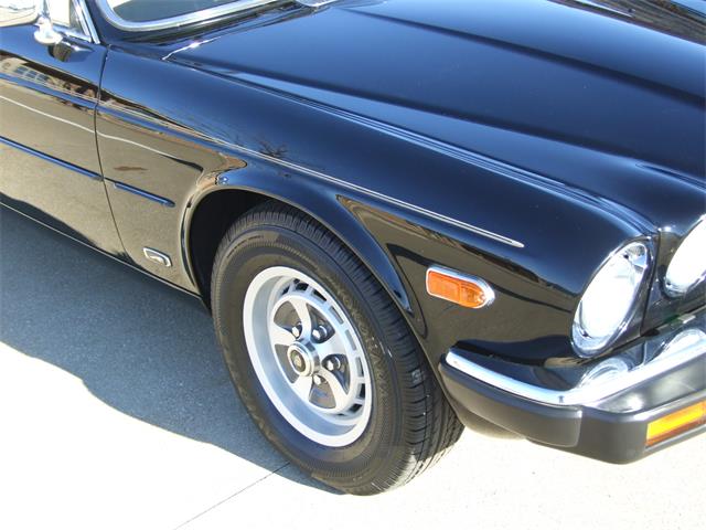 1986 Jaguar XJ6 (CC-1798728) for sale in North Canton, Ohio