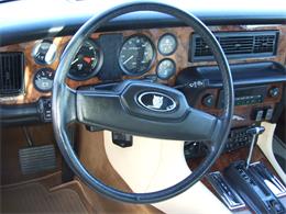1986 Jaguar XJ6 (CC-1798728) for sale in North Canton, Ohio