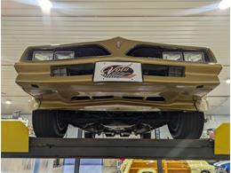1978 Pontiac Firebird Trans Am (CC-1790879) for sale in Volo, Illinois