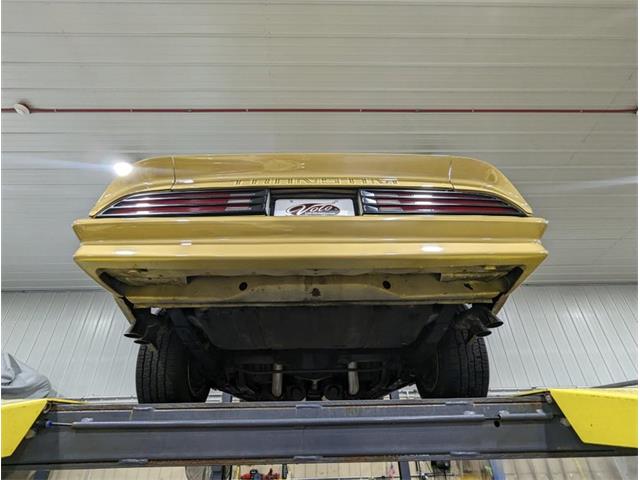 1978 Pontiac Firebird Trans Am (CC-1790879) for sale in Volo, Illinois