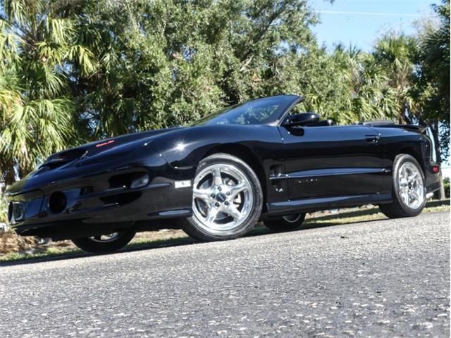 2000 Pontiac Firebird Trans Am (CC-1790905) for sale in Palmetto, Florida