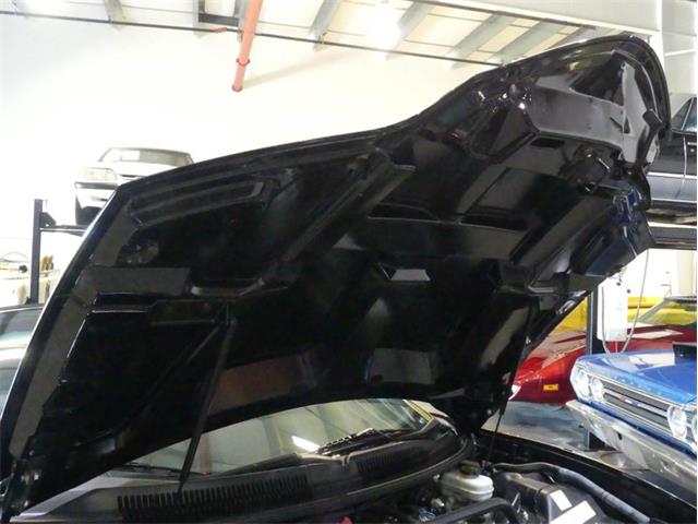 2000 Pontiac Firebird Trans Am (CC-1790905) for sale in Palmetto, Florida