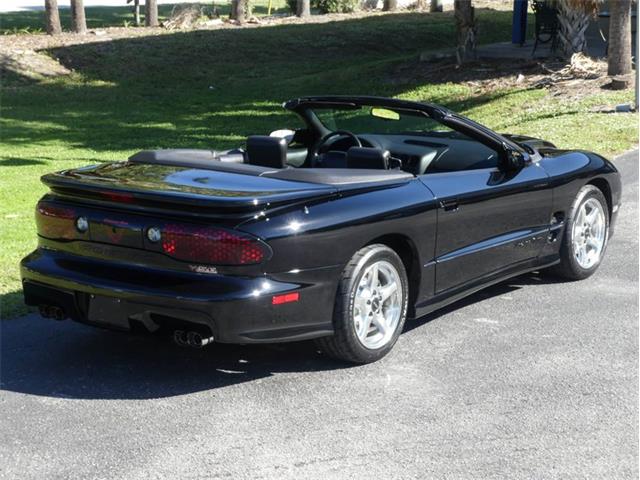 2000 Pontiac Firebird Trans Am (CC-1790905) for sale in Palmetto, Florida