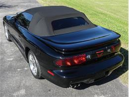 2000 Pontiac Firebird Trans Am (CC-1790905) for sale in Palmetto, Florida