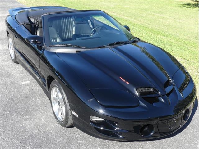 2000 Pontiac Firebird Trans Am (CC-1790905) for sale in Palmetto, Florida