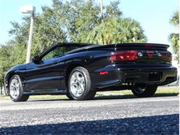 2000 Pontiac Firebird Trans Am (CC-1790905) for sale in Palmetto, Florida
