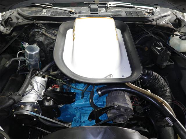 1977 Pontiac Can Am (CC-1799509) for sale in Pittsburgh, Pennsylvania