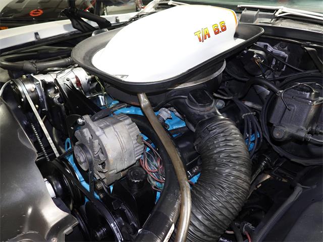 1977 Pontiac Can Am (CC-1799509) for sale in Pittsburgh, Pennsylvania