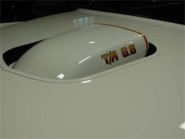 1977 Pontiac Can Am (CC-1799509) for sale in Pittsburgh, Pennsylvania