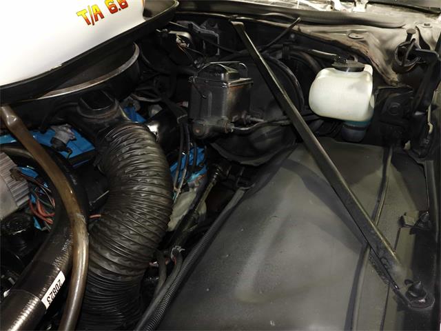 1977 Pontiac Can Am (CC-1799509) for sale in Pittsburgh, Pennsylvania
