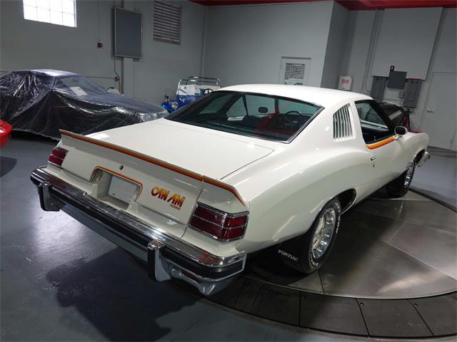 1977 Pontiac Can Am (CC-1799509) for sale in Pittsburgh, Pennsylvania