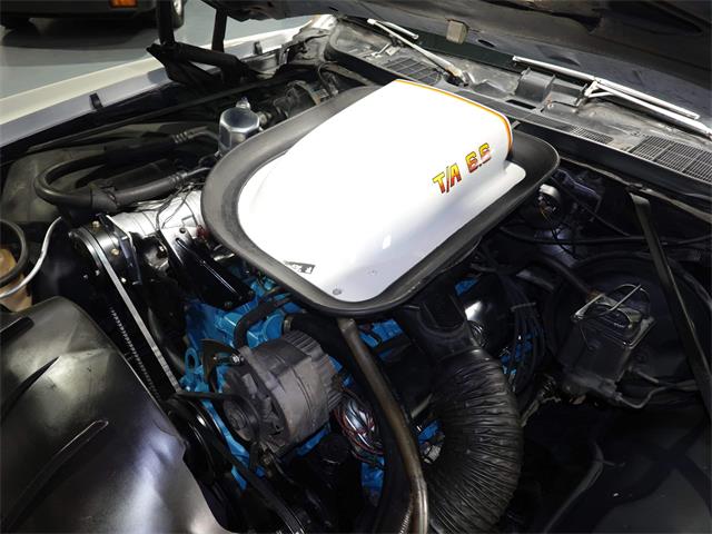 1977 Pontiac Can Am (CC-1799509) for sale in Pittsburgh, Pennsylvania