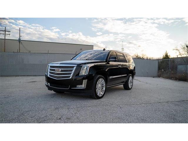 2016 Cadillac Escalade (CC-1799534) for sale in St. Louis, Missouri