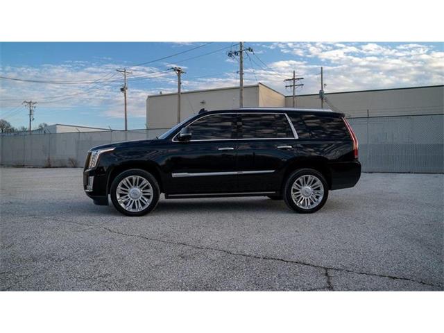 2016 Cadillac Escalade (CC-1799534) for sale in St. Louis, Missouri