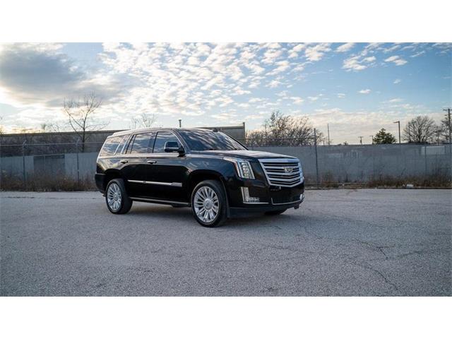 2016 Cadillac Escalade (CC-1799534) for sale in St. Louis, Missouri