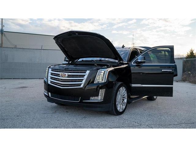 2016 Cadillac Escalade (CC-1799534) for sale in St. Louis, Missouri