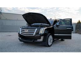2016 Cadillac Escalade (CC-1799534) for sale in St. Louis, Missouri