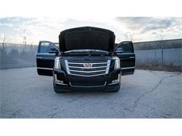 2016 Cadillac Escalade (CC-1799534) for sale in St. Louis, Missouri