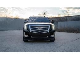 2016 Cadillac Escalade (CC-1799534) for sale in St. Louis, Missouri