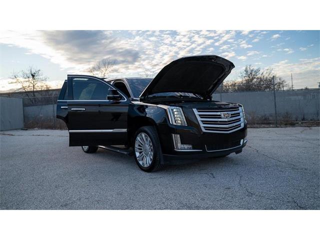 2016 Cadillac Escalade (CC-1799534) for sale in St. Louis, Missouri