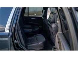 2016 Cadillac Escalade (CC-1799534) for sale in St. Louis, Missouri