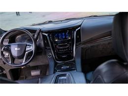 2016 Cadillac Escalade (CC-1799534) for sale in St. Louis, Missouri