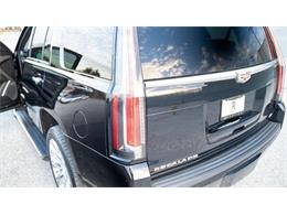 2016 Cadillac Escalade (CC-1799534) for sale in St. Louis, Missouri
